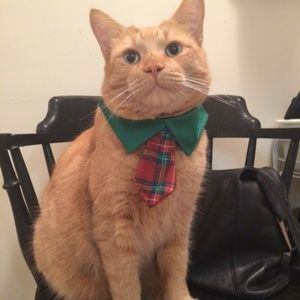 Meet your Posher, Barbara